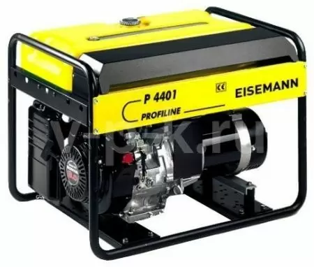 Бензиновый генератор Eisemann P 4401