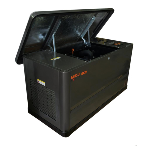 Газовый генератор Mitsui GM 13000 фото