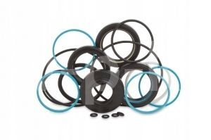 Ремкомплект уплотнений к блоку EVO3 162038 фото