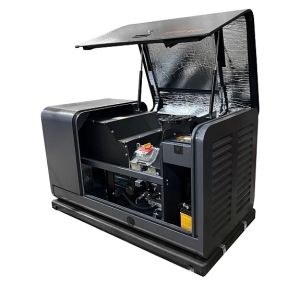 Газовый генератор  GM 10000