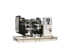 Дизельный генератор  TJ83PE CROMPTON