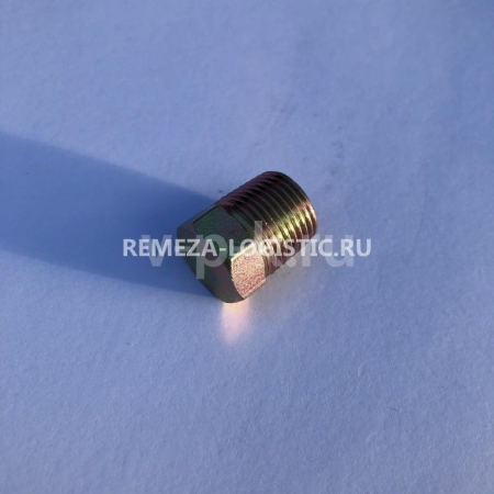 R 21169003 Пробка слива масла Z3/8" LB50/75/LT100 для lb50