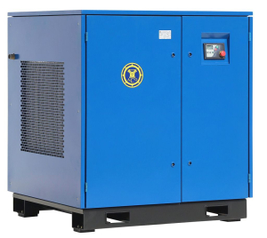 Винтовой компрессор АСО Бежецк АСО-ВК22/10 ESQ фото