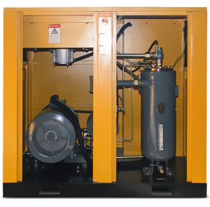 Винтовой компрессор Berg ВК-30Р 12 (IP54) стационарный фото